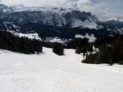 Runs at Santa Croce