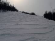 Slope grooming in Raudalen