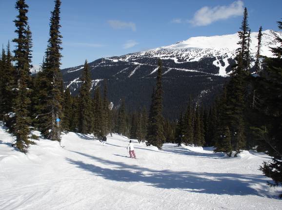 Forest runs at Symphony Express