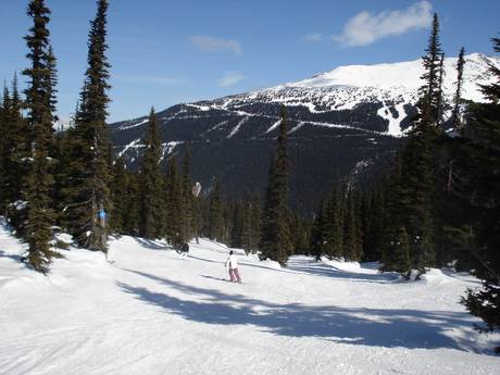 Slope offering Canada – Slope offering Whistler Blackcomb