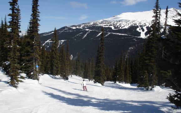 Slope offering Garibaldi Ranges – Slope offering Whistler Blackcomb