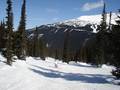 Slopes Whistler Blackcomb