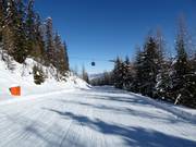 Easy valley run