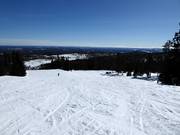 Easy slope Solbacken No. 19