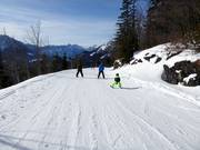 Family Slope Loser