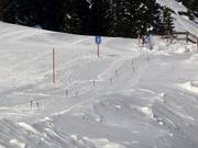 Babylift Kreuzkapelle - Rope tow/baby lift with low rope tow