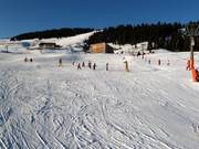 Slope at the Ludy drag lift
