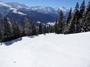 Intermediate valley run No. 9