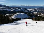 Oberholz slope