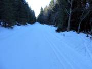 Cross-country trails in Malá Úpa