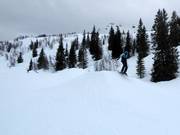 Snowpark Voss