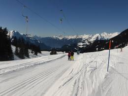 Balisalp