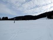 Ski slope Oberwilhams