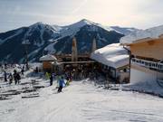 Mega Walleggalm