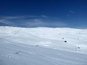 Freeride area between Vinkelliften and Nordalsliften