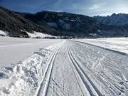 Cross-country trails in Gosau