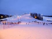 View of the Talma ski resort