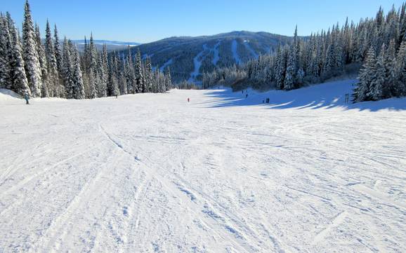 Slope offering Thompson-Nicola – Slope offering Sun Peaks