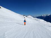 Dahu slope