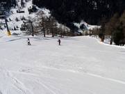 Novelly downhill run to Siviez