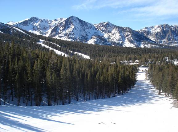 Wonderful forest runs at June Mountain