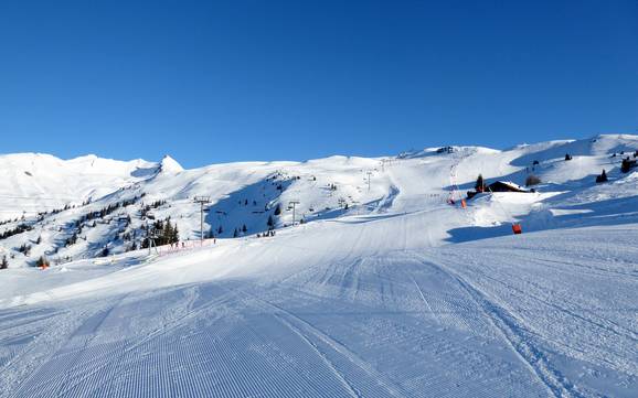 Skiing on the Mont Blanc (Monte Bianco)