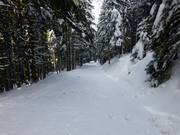 Ski route