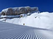 Optimal slope grooming in the Ifen ski area
