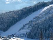 The challenging north descent at Rittisberg