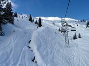 Freeride area towards Curnius