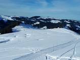 Winter walking trail