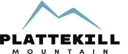 Plattekill