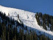 Steep mogul slopes in the Pallavicini Bowl