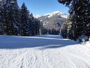 Easy Sattel descent