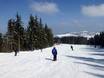 Slope offering Breisgau-Hochschwarzwald – Slope offering Haldenköpfle