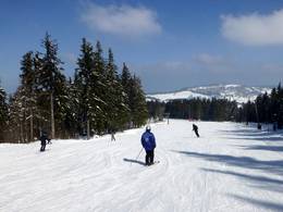 Haldenköpfle