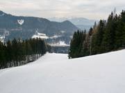 South Slope