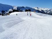 Easy slope Sonnenrast