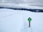 Easy slope Panorama