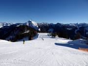 Roßkopf run
