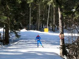 Borovets