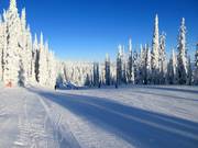 Easy slope Cahilty
