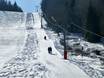 Ski lifts Hochschwarzwald – Ski lifts Menzenschwand (St. Blasien) – Spießhorn