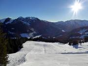 Grünsee slope in the sunshine