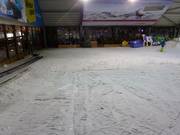 Beginner slope