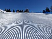 Perfect slope grooming in the Meran 2000 ski area