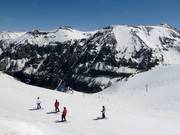 View of the slopes in the Revelation Bowl