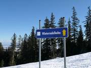 winter toboggan run