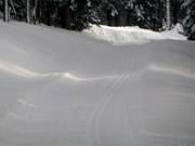Trail at Grafenast