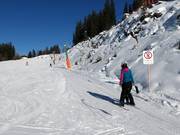 Übungswiese - J-bar